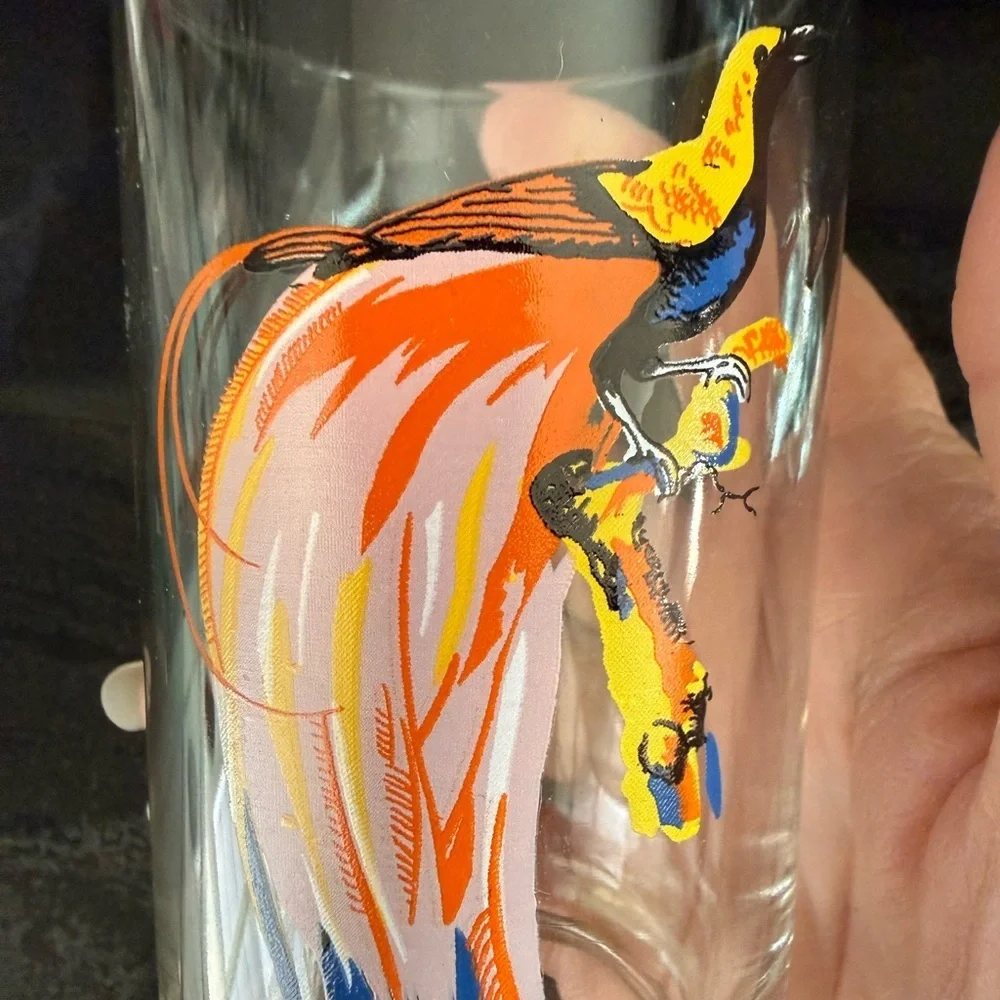Vtg KIG Exotic Tropical Bird Glasses Tumblers MCM Barware Boho Tiki Kitschy